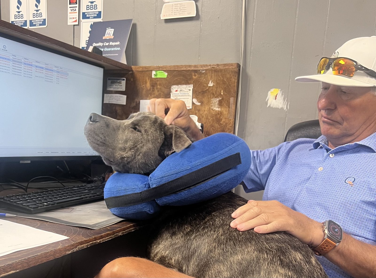 Abee and Diesel the shop dog at the front counter